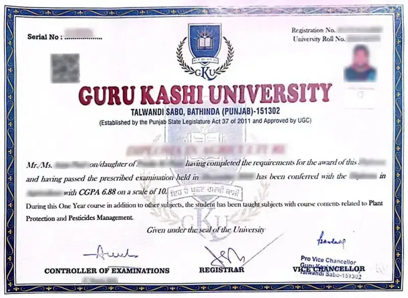 Sample certificate