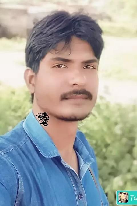 Sharif Mohammed Profile Pic