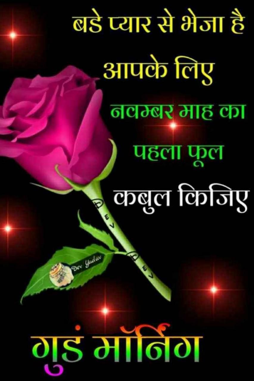 Nitish Raj Profile Pic