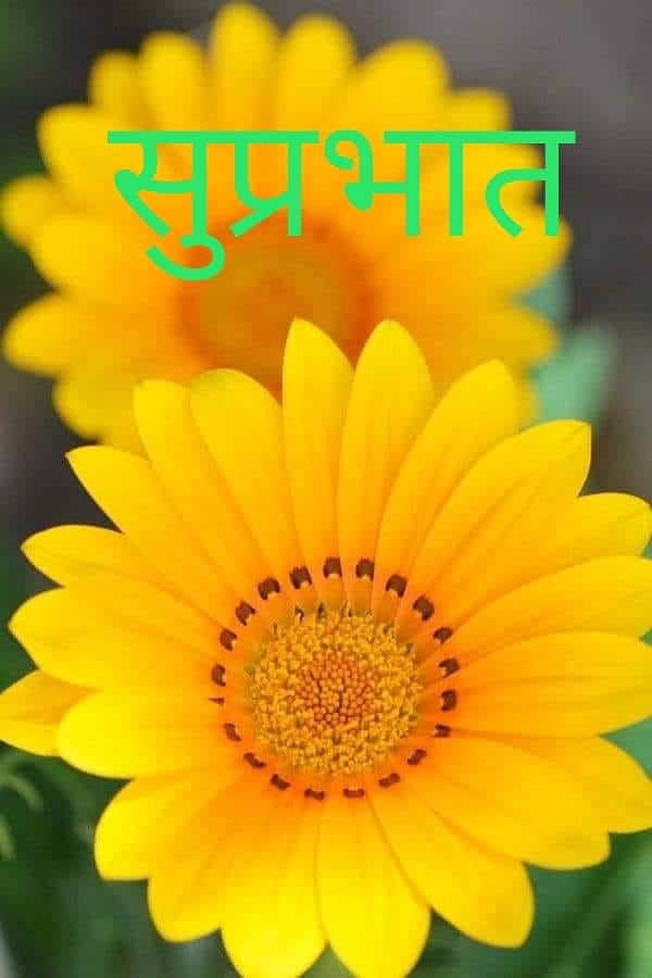 Munendra Singh Yadav Profile Pic