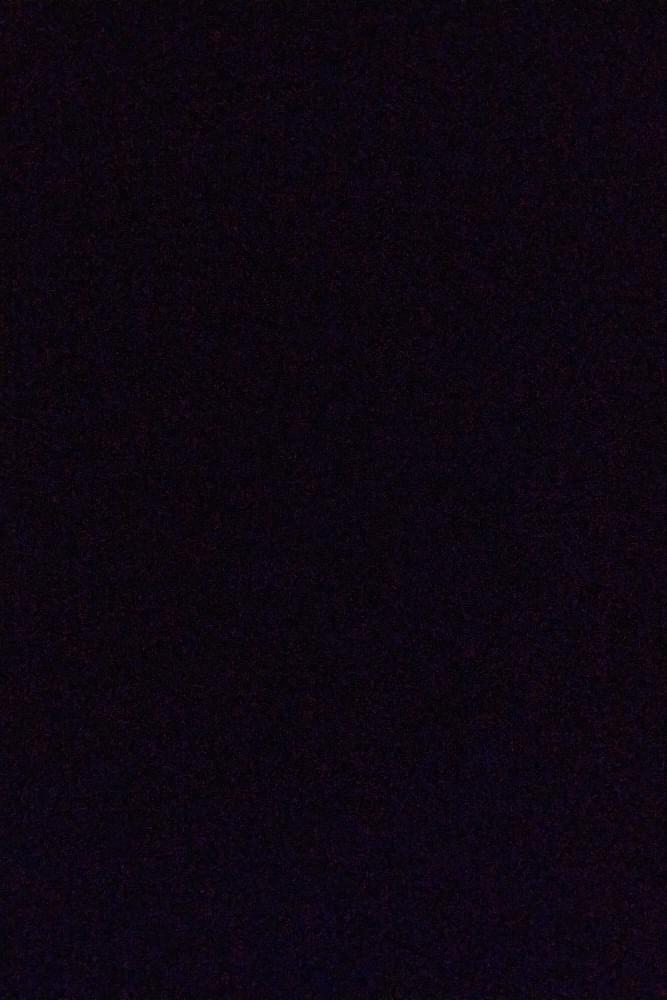 Shree Profile Pic