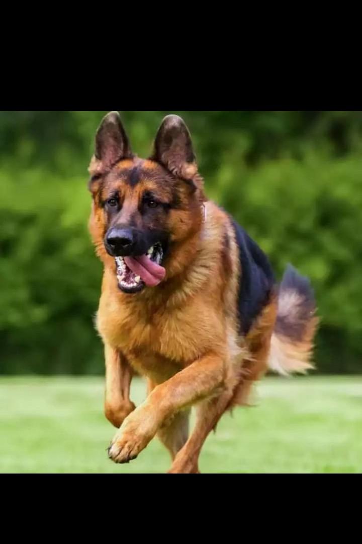 Madhusudan S Profile Pic