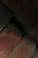 Aniket Profile Pic
